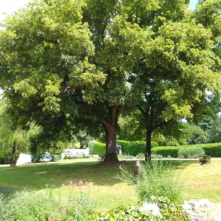 Laugerie Basse - Pavot *
